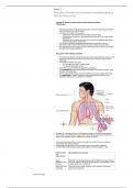 Nr 507 advanced pathophysiology final exam study guide | Graded A+