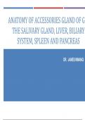 ANATOMY OF ACCESSORIES GLAND OF GIT THE SALIVARY GLAND, LIVER, BILIARY  SYSTEM, SPLEEN AND PANCREAS