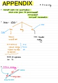 Appendix  anatomy first year to pathology to surgery 