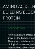 A Comprehensive Guide to Amino Acids: Structure, Functions, Classification, Matabolic roles.