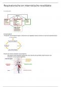 Samenvatting -  Respiratorische en internistische revalidatie