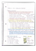 Central Dogma and Membrane Structure/Function