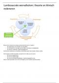 Samenvatting -  Theorie lumbosacrale wervelkolom