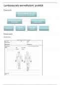 Samenvatting -praktijk lumbosacrale wervelkolom
