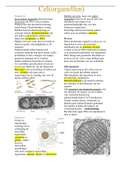 taak 1 (celorganellen) continuïteit van het leven + extra aantekeningen owg