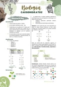 Biología - Carbohidratos