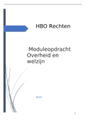 Moduleopdracht Overheid en Welzijn