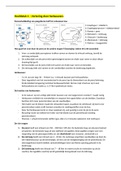 Samenvatting HBOV04 Veevoeding