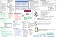 GCSE Biology NOTES