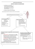 samenvatting neurofysiologie : notities + tekstboek 