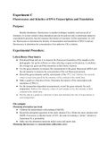 Experiment C: Fluorescence and Kinetics of DNA Transcription and Translation