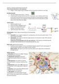 SUMMARY Biological Psychology (JUST WHAT YOU NEED TO KNOW)