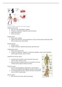 BIOL 122 Anatomy and Tissue structure full lecture notes