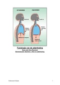 Samenvatting ademhalingsfysiologie