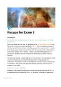 Summary for Exam 3 