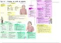 Best nursing concept diagram for geriatric (Dementia, Alzheimer, delirium)