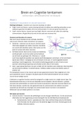 Samenvatting ter voorbereiding van het tentamen van  Brein & Cognitie 1 (SOW-PSB1BC06N)