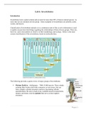 Invertebrate Lab Packet