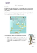 Invertebrate Lab Packet pdf