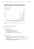 Forensic Psychology Chapter 7 Youth gangs and drug wars