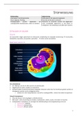 Stofwisseling - cursus natuurvoeding