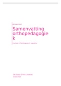 Samenvatting  Orthopedagogiek