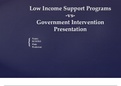 ECO 561 Week 2 Assignment, Low Income Support Programs vs Govt Intervention