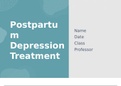 NR 505 Week 7 Assignment: Evidence-based Practice Change PowerPoint Presentation – Postpartum Depression Treatment (GRADED)