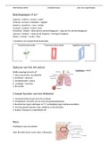 Samenvatting zwangerschap 1 ademhalingsstelsel