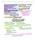 Class notes NSG 3450  