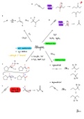 Reactions Notes