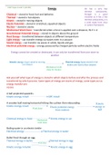 Edexcel GCSE Physics Notes set (Grade 9 Achieved)