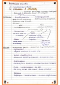 Samenvatting Biomedische Statistiek