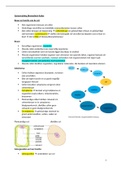 Samenvatting Biomedisch Kader