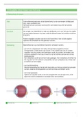 Samenvatting oogaandoeningen