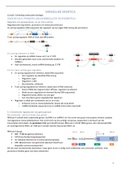 Samenvatting  menselijke genetica