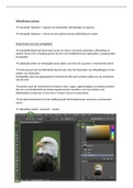 Samenvatting productie 1: Photoshop 