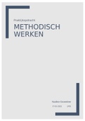 Methodisch werken praktijkopdracht