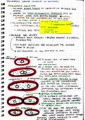 MICROBIAL GROWTH