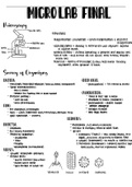 Microbiology Lab Review