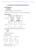 Hoofdstuk 6 biochemie: Koolhydraat metabolisme (2021-2022)