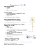 samenvatting 7 lessen neuroanatomie (2021-2022)