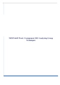 NRNP 6645 Week 3 Assignment 2023 Analyzing Group Techniques