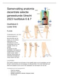 Samenvatting anatomie decentrale selectie geneeskunde Utrecht 2023 hoofdstuk 6 & 7 the upper & lower limb