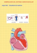 EMBRIOLOGÍA DEL SISTEMA CARDIOVASCULAR