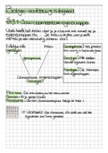 Biologie Samenvatting Hoofdstuk 9, 10 en 12 - Erfelijkheid, Evolutie en Gezondheid (Nectar, Havo-5)