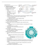 Samenvatting Wegwijs in economie, ISBN: 9789463937085  Economie (F000494A)