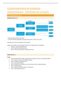 Samenvatting oefencolleges keuzevak: Samenwerken Binnen Onderwijs