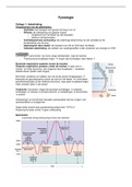 Fysiologie complete samenvatting met afbeeldingen