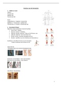 Samenvatting  Analyse van de beweging 